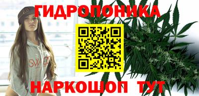 ECSTASY Гусев