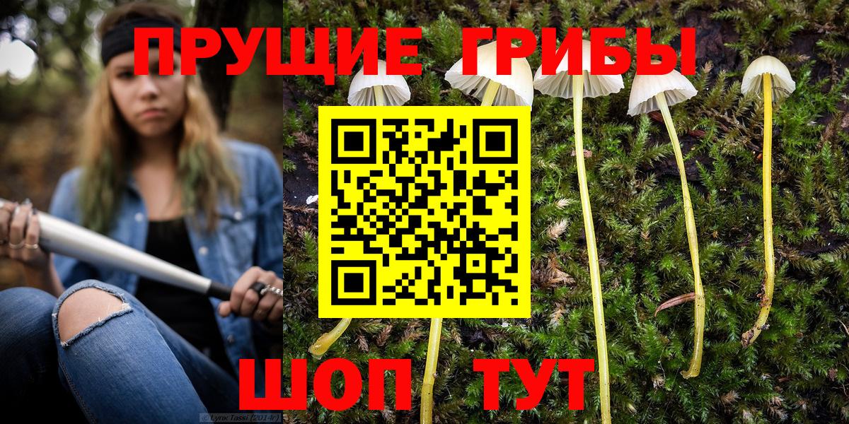 Галлюциногенные грибы Psilocybe Назрань