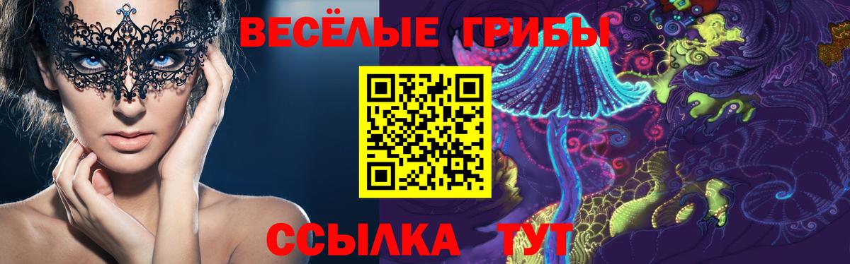 Назрань  магазин продажи   Вход с VPN  Галлюциногенные грибы прущие грибы 